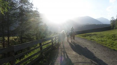 Sie reiten in den Sonnenuntergang