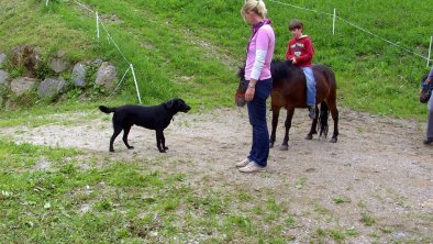 Ponyreiten am Breierhof im Zillertal