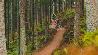 The Chainless One trail at Bikepark Innsbruck, © Innsbruck Tourismus