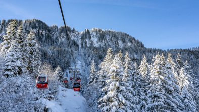 Landschaft Skigebiet Hahnenkamm Winter Gondel (c), © Kitzbühel Tourismus