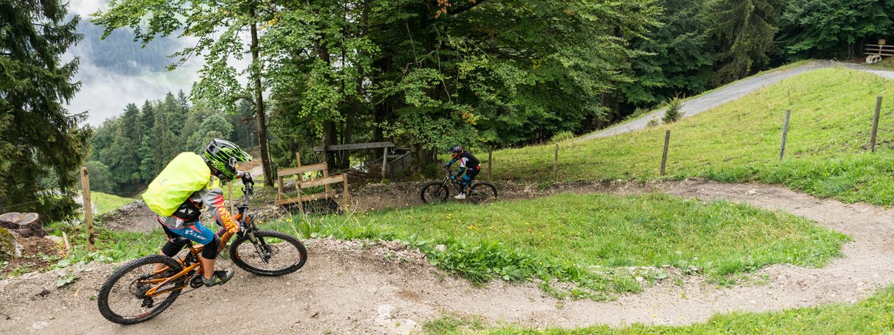 The Lisi Osl Trail on the Gaisberg mountain in Kirchberg, © Wagner Philipp