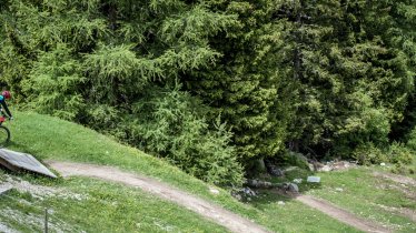 EinsEinser Trail in Neustift in the Stubaital Valley, © Rene Sendlhofer