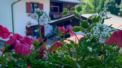 Aussicht-Balkon