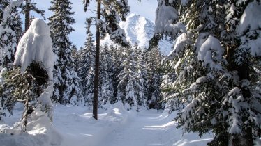 The Leutasch Forest Trail, © Region Seefeld