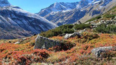 Einsamkeit und Farbenpracht des Herbstes