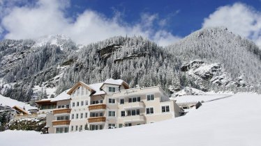 Alpenstern Winteransicht