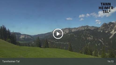 Webcam Krinnenalpe