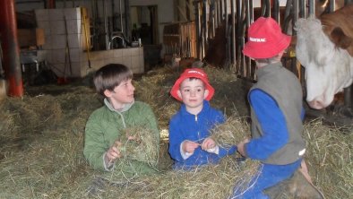 Kinder am Bauernhof