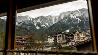 Landhaus Alpenrose - Ausblick