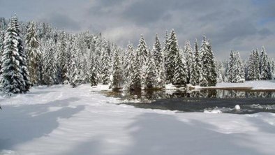 Wintereindrücke, © Das Haus am Walde
