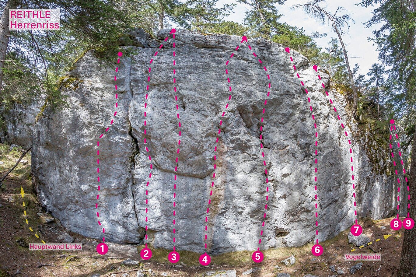 Topography