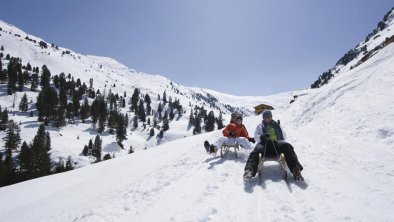 Rodelbahn Hochfügen ca. 15km entfernt