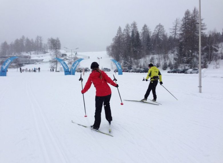 Cross country ski technique