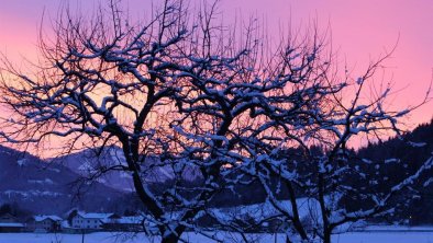 Morgenrot im Winter