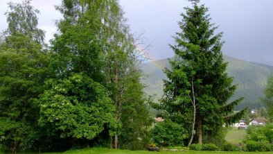 Ausblick Sommer