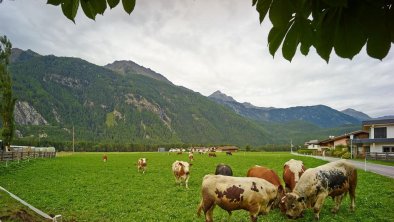 Urlaub am Bauernhof