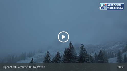 Webcam Hornlift 2000 Talstation