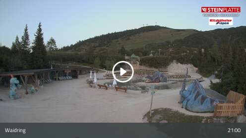 Webcam Triassic Park