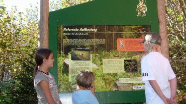 Themed woodland learning trail in Zell am Ziller, © TVB Zillertal Arena