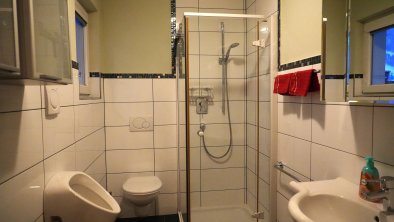 Washroom - shower - toilet