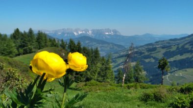 Blick Richtung Kaisergebirge, © Rosa