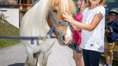 https://images.seekda.net/AT_UAB7-09-09-06/Kinderprogramm_Goglzug_Sommer_und_pony%29.jpg