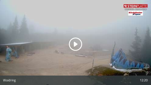 Webcam Triassic Park