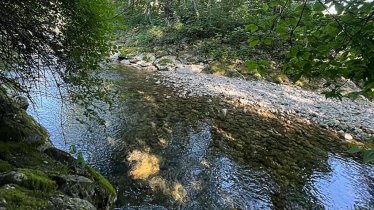 Bach direkt vor dem Garten