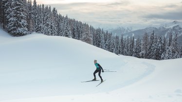 Cross-country skiing, © Tirol Werbung / Katharina Poblotzki 