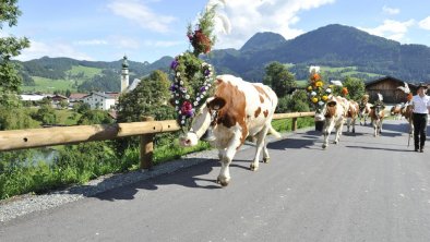 Almabtrieb Reith im Alpbachtal Tirol (52)