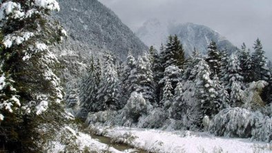 Wanderweg von Giessenbach nach Scharnitz, © Das Haus am Walde