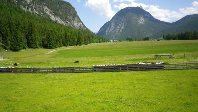 Blick vom Haus auf die Ahnrkopf-Spitze