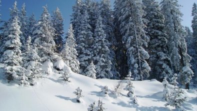 traumhafte Winterlandschaft am Berg