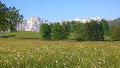 Aussicht vom Haus Wallner: Frühling mit Kaiser