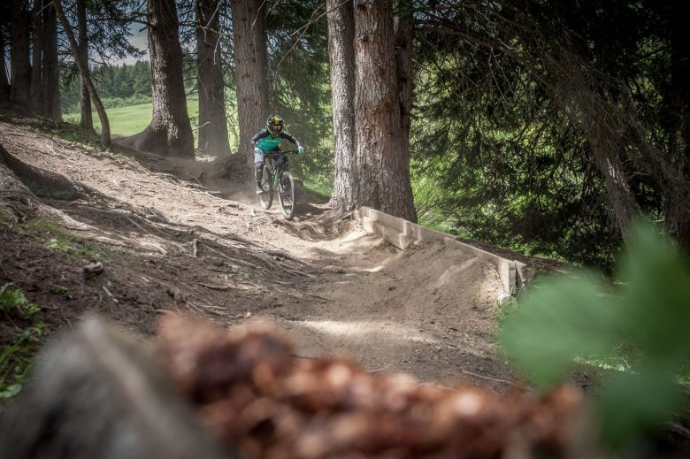 The Downhill Trail features a technical mix of dirt berms, gaps and narrow, whip-fast singletrack through tight pine corridors.