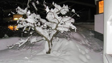 Winteridylle-Haus_Wechner