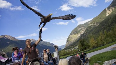 Greifvogelpark Umhausen, © Ötztaler Greifvogelpark