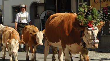 The cows are decked out in garlands of flowers and ribbons, with bells attached to their heavy leather collars, © TVB Stubai Tirol