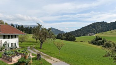 Riesböckhof Ebbs Aussicht