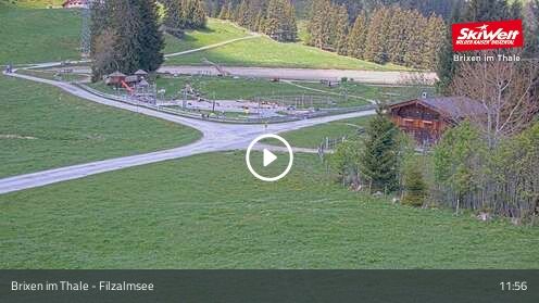 Webcam Filzalmsee