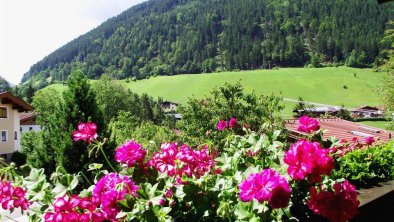 Blick vom Balkon (Zimmer)