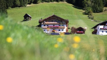 Sommer am Oberrieserhof