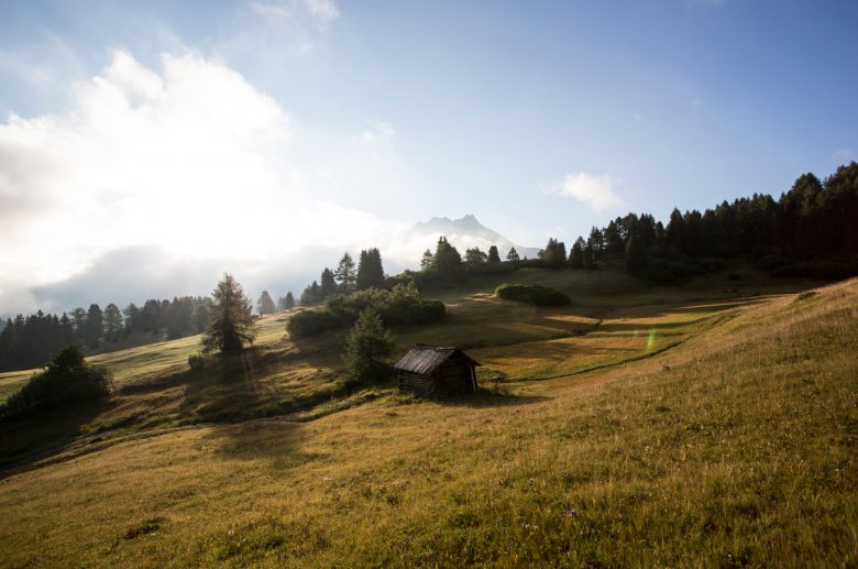 Section of the Nauders High Trail.
, © TVB-Tiroler-Oberland, Daniel Zangerl