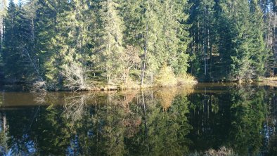 Gieringer Weiher, © Matthias Zimmermann