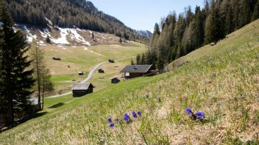 Spring in the Pfundser Tschey valley, © Tirol Werbung/Marion Webhofer