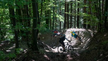 Arzler Alm Trail, © Tirol Werbung/Peter Neusser