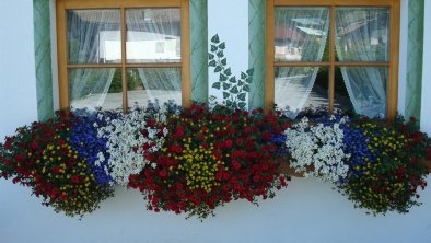 Blumenfenster - Am Mühlrain, © Am Mühlrain / Ruckwied