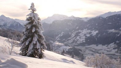 Panoramic view in the near of our farm