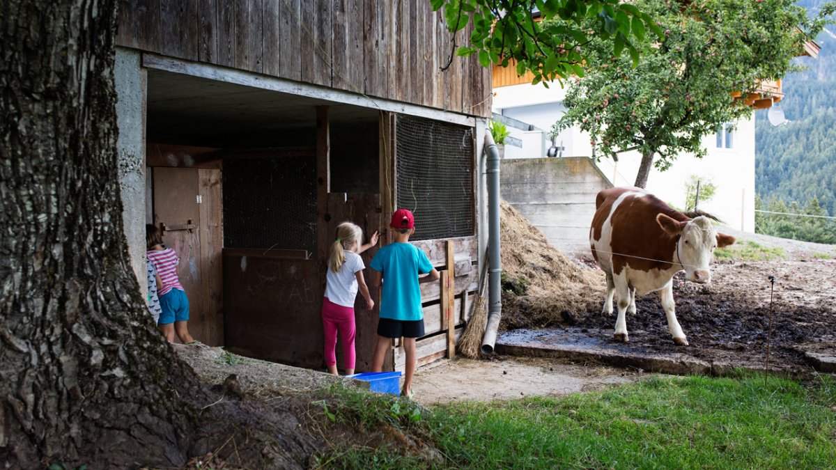 Children will love exploring a whole new world in the stables, barn and vegetable garden., © Tirol Werbung/Lisa Hörterer