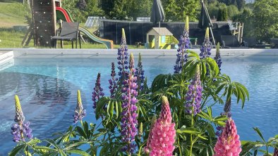 Hotel mit Pool und großer Garten - Wanderurlaub